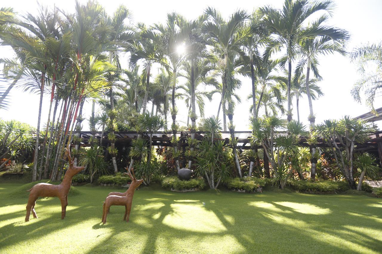 Bed and Breakfast Victoria'S Haven à Dumaguete City Extérieur photo